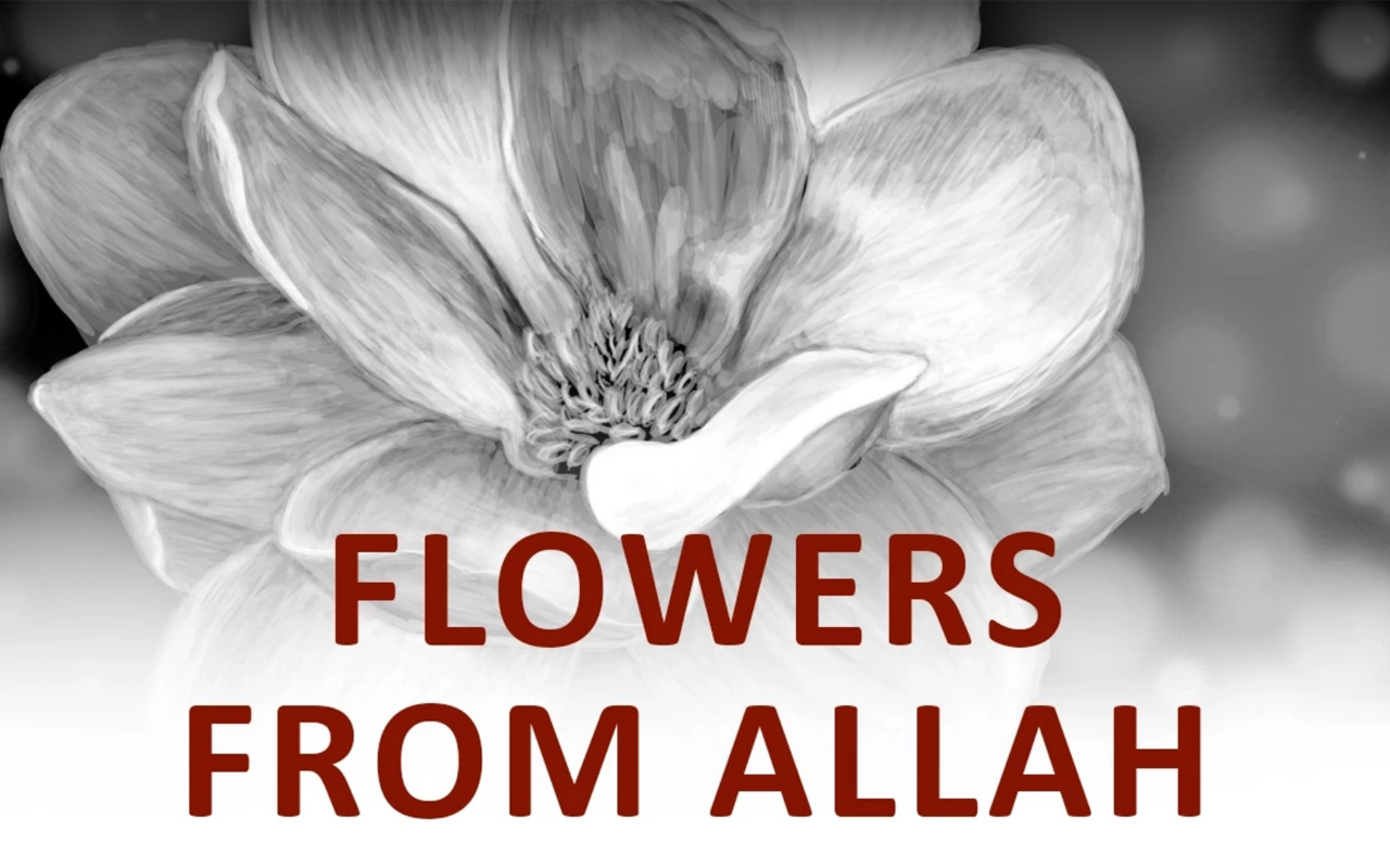 The Beginning and the End with Omar Suleiman: Flowers from Allah